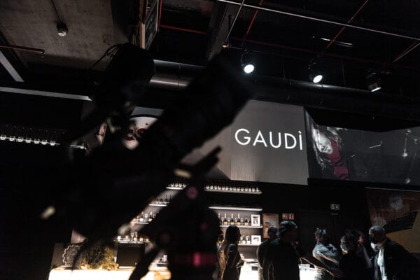 Fashion_Show_-_gaudi_-14.jpg